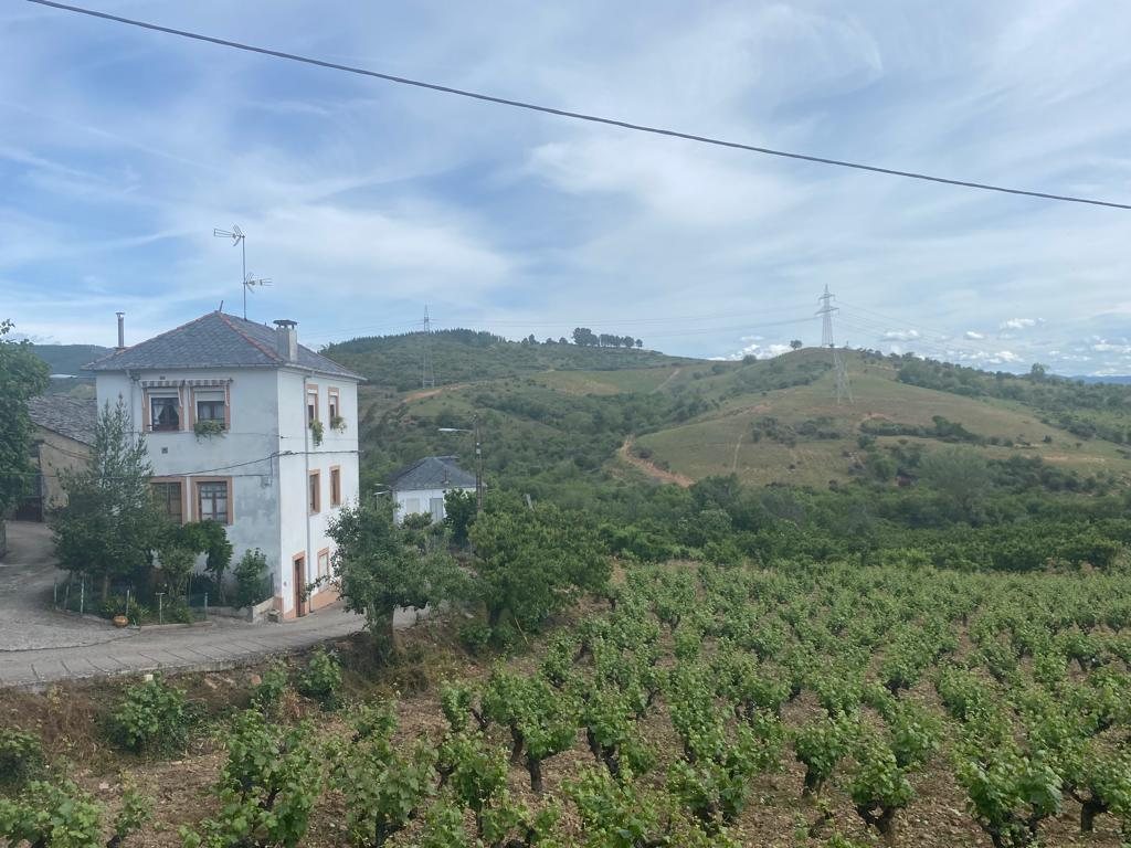 Originele foto van Annemie op dag 29: Ponferrada naar Villafranca del Bierzo