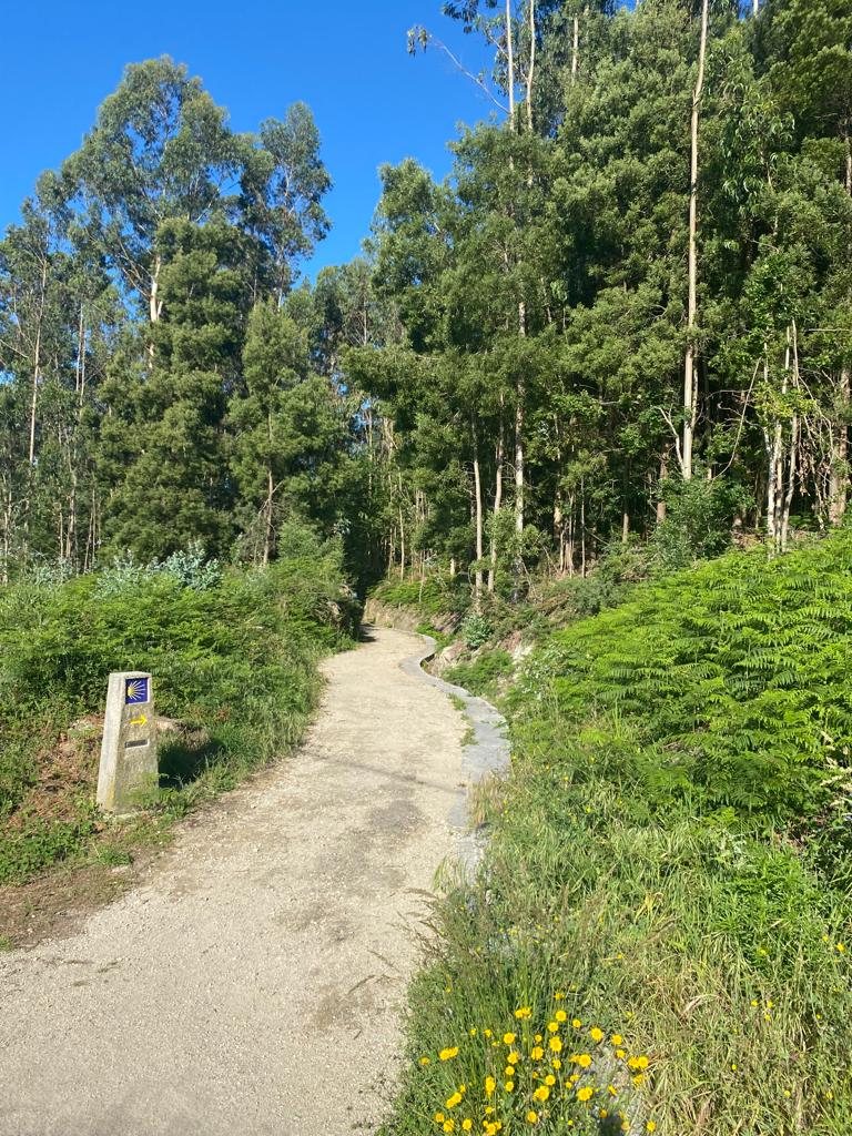 Originele foto van Annemie op dag 38: Santiago de Compostela naar Negreira