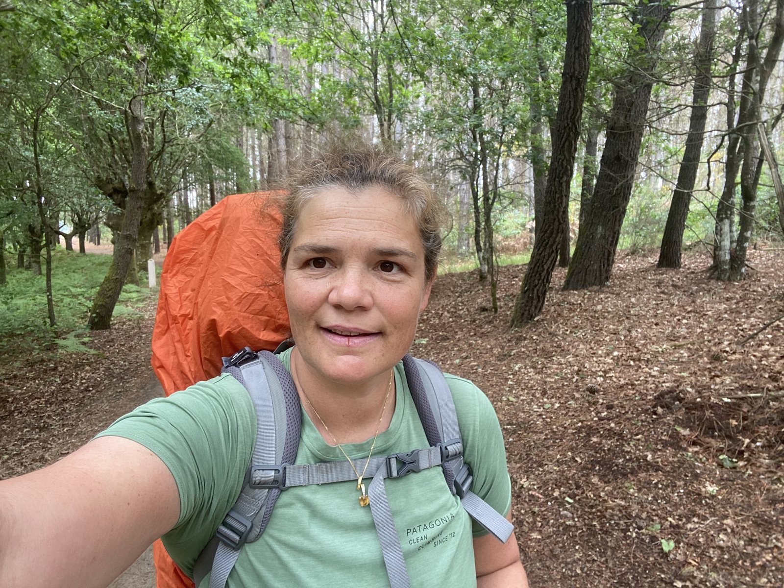 Originele foto van Annemie op dag 33: Sarria naar Ventas de Narón