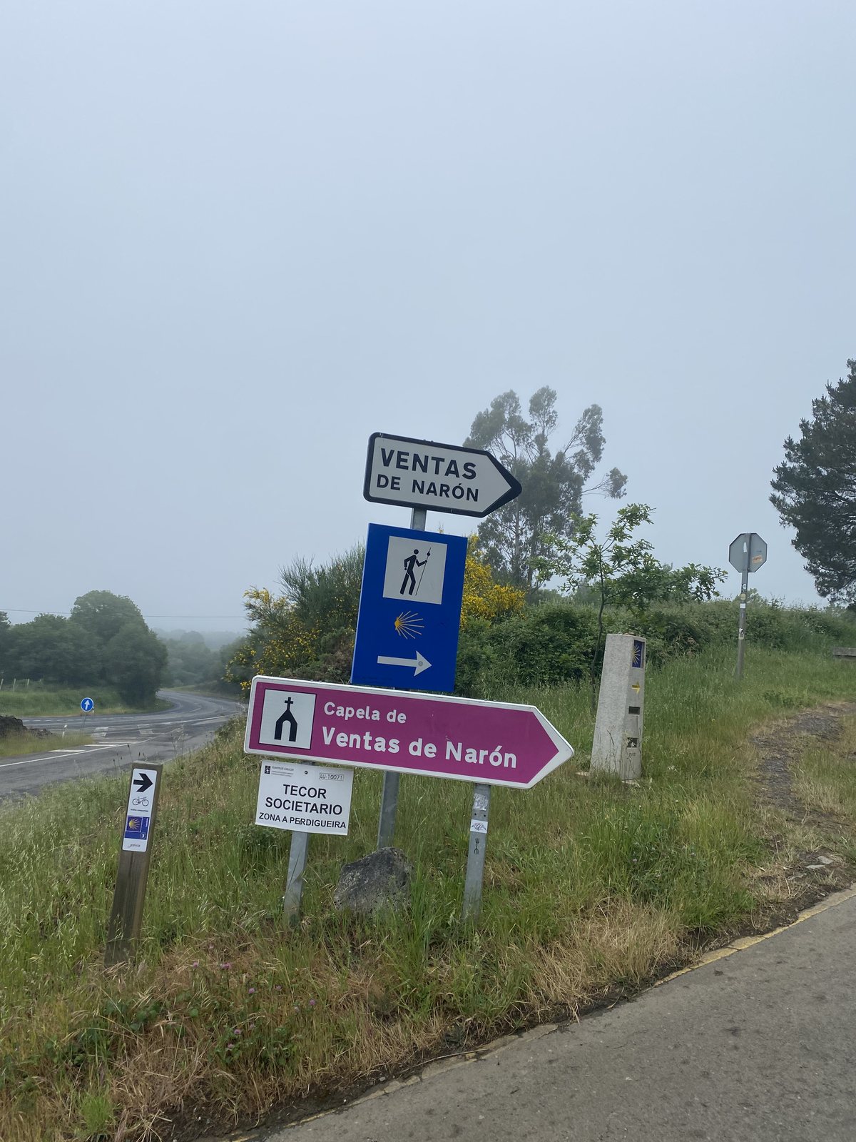 Originele foto van Annemie op dag 33: Sarria naar Ventas de Narón