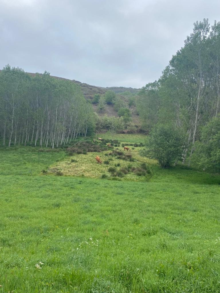 Originele foto van Annemie op dag 30: Villafranca del Bierzo naar Las Herrerías