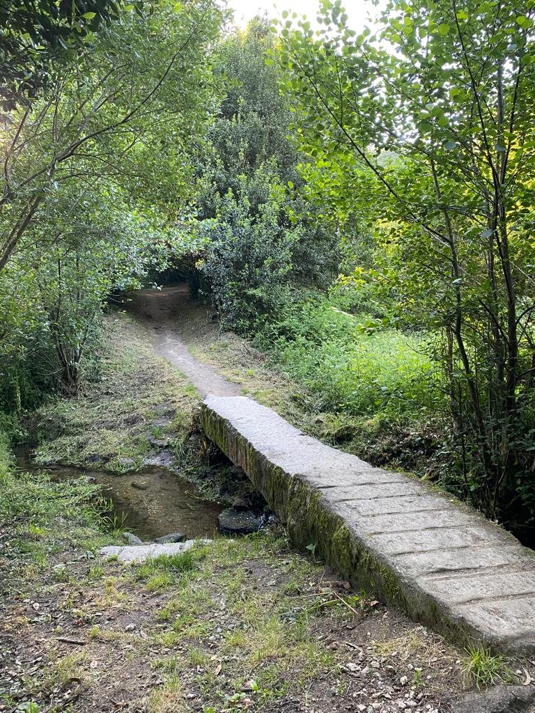 Originele foto van Annemie op dag 38: Santiago de Compostela naar Negreira