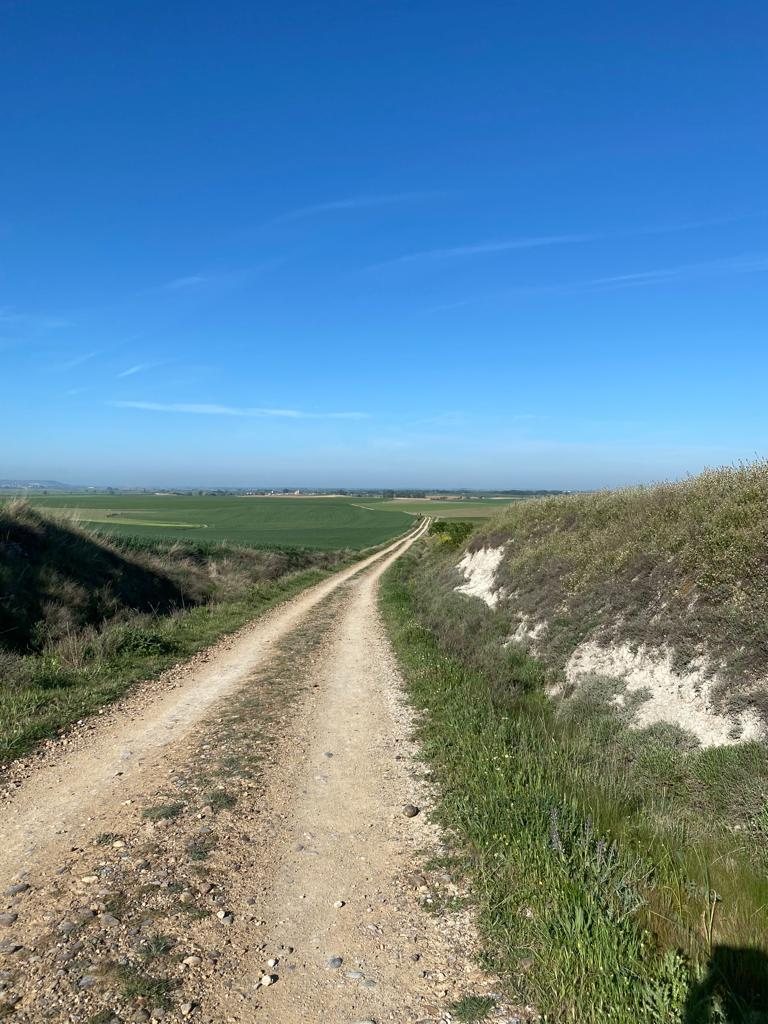 Originele foto van Annemie op dag 19: Castrojeriz naar Población de Campos