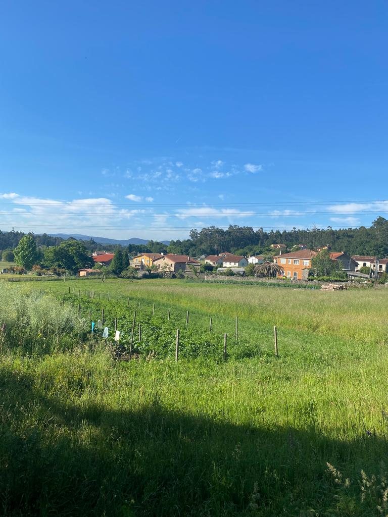 Originele foto van Annemie op dag 38: Santiago de Compostela naar Negreira