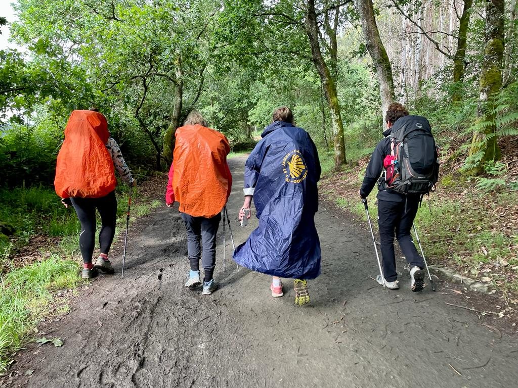 Originele foto van Annemie op dag 35: Melide naar O Pedrouzo