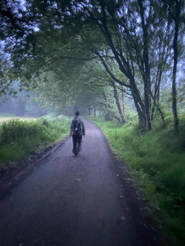 Originele foto van Annemie op dag 35: Melide naar O Pedrouzo