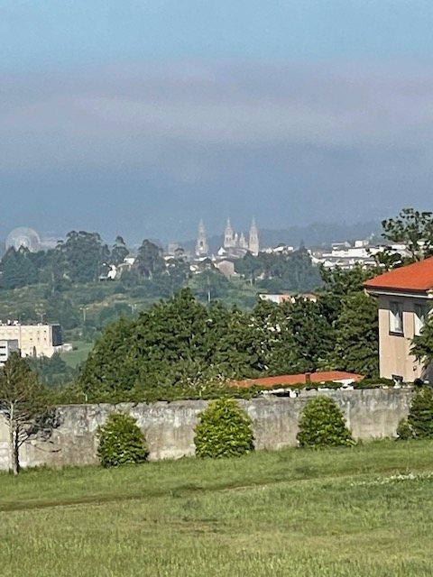 Originele foto van Annemie op dag 36: O Pedrouzo naar Santiago de Compostela