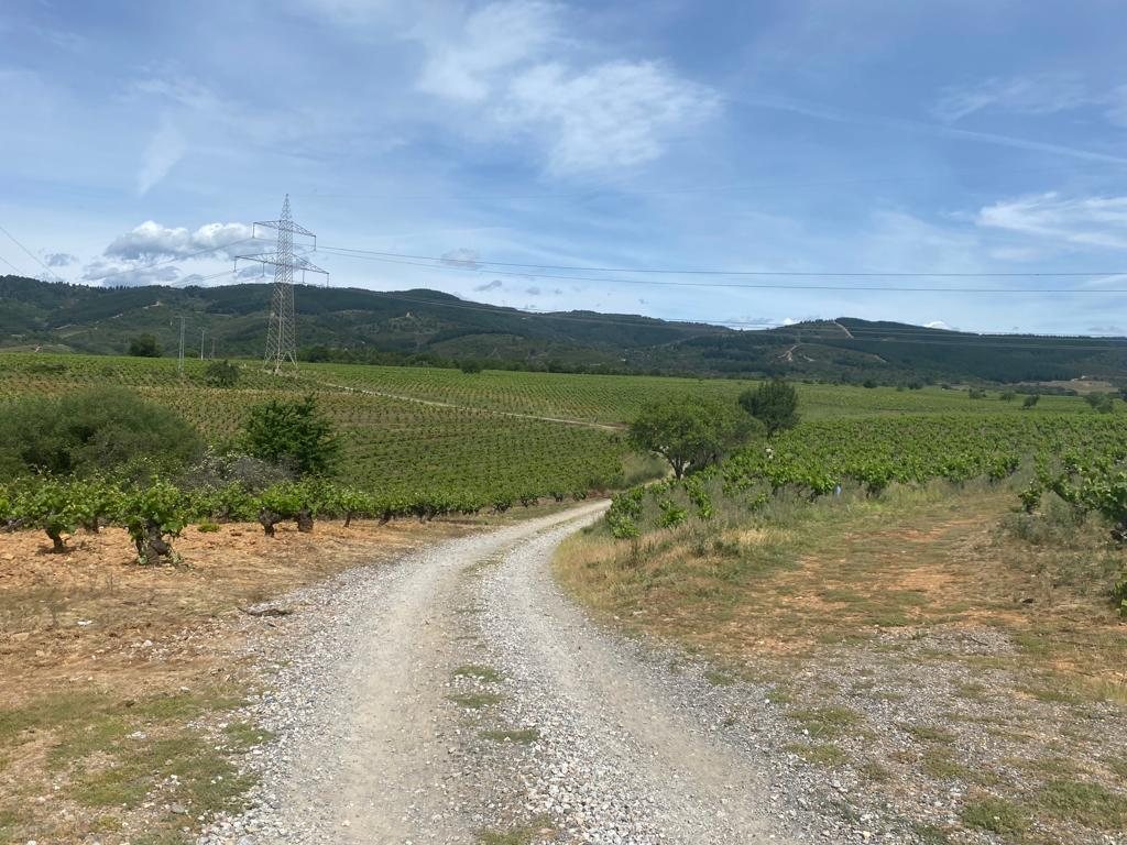 Originele foto van Annemie op dag 29: Ponferrada naar Villafranca del Bierzo