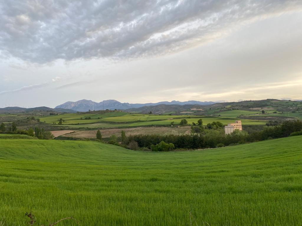 Originele foto van Annemie op dag 11: Sansol naar Logroño