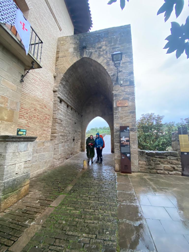 Originele foto van Annemie op dag 9: Puente la Reina naar Estella/Lizarra