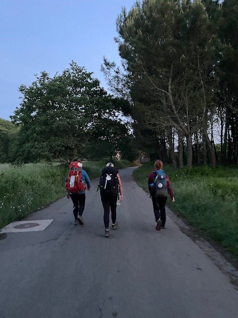 Originele foto van Annemie op dag 36: O Pedrouzo naar Santiago de Compostela