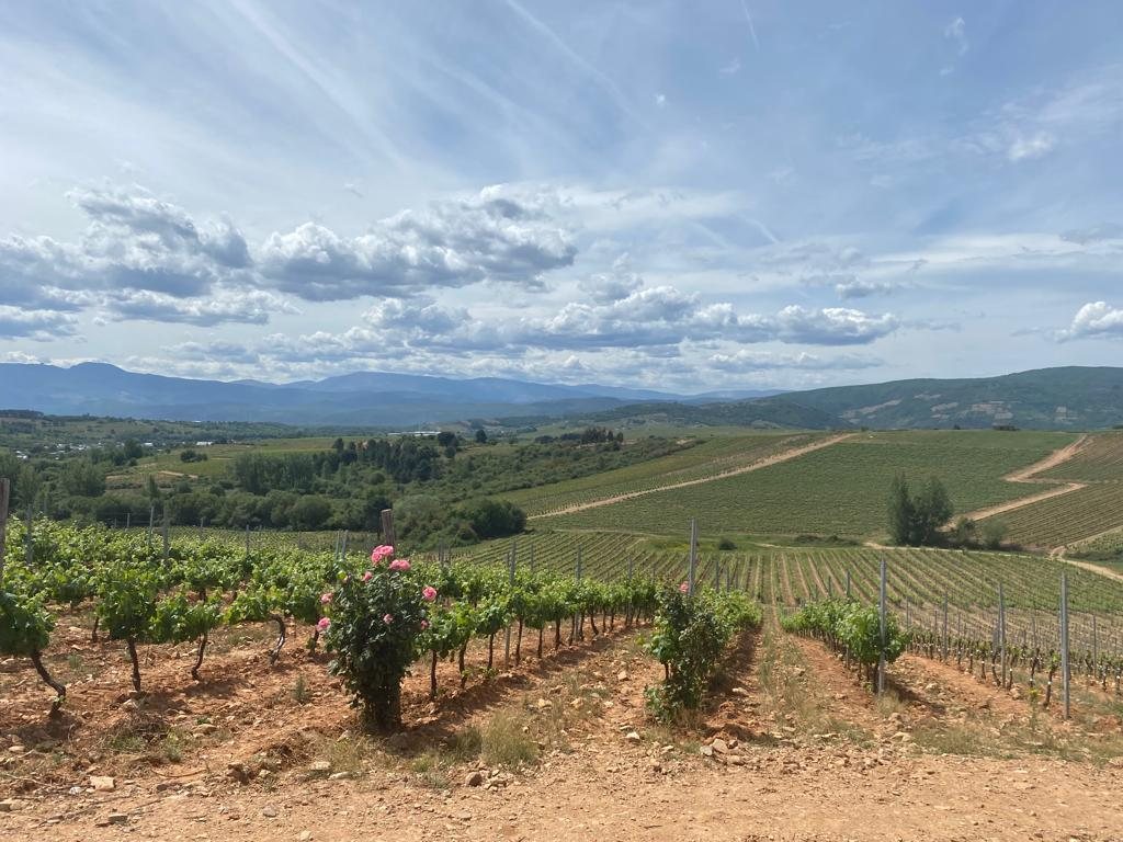 Originele foto van Annemie op dag 29: Ponferrada naar Villafranca del Bierzo