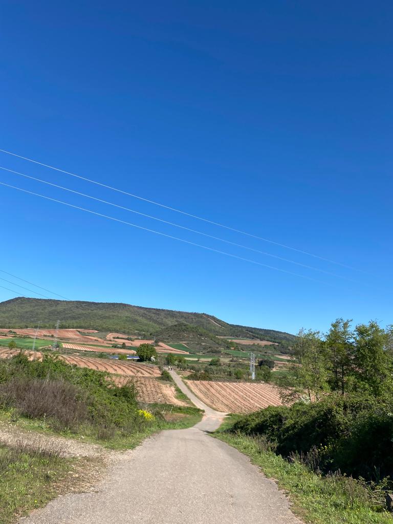Originele foto van Annemie op dag 12: Logroño naar Nájera