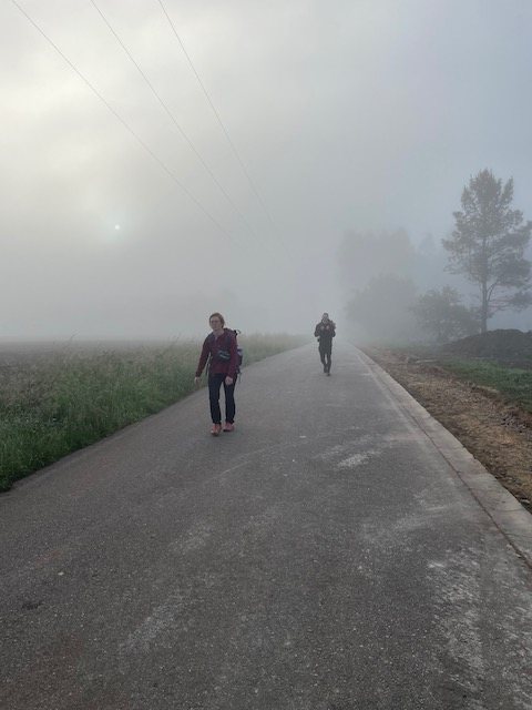 Originele foto van Annemie op dag 36: O Pedrouzo naar Santiago de Compostela