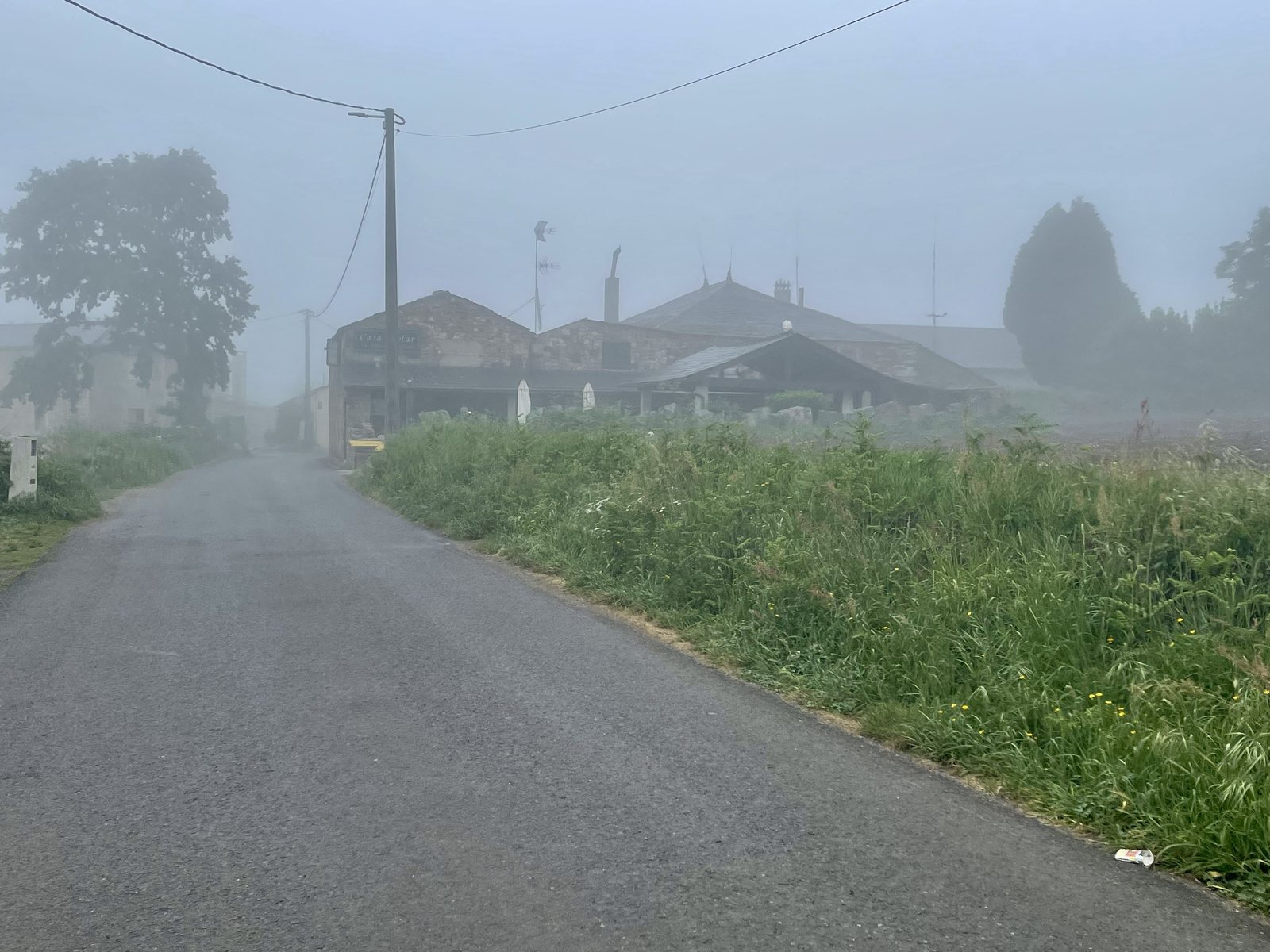 Originele foto van Annemie op dag 33: Sarria naar Ventas de Narón