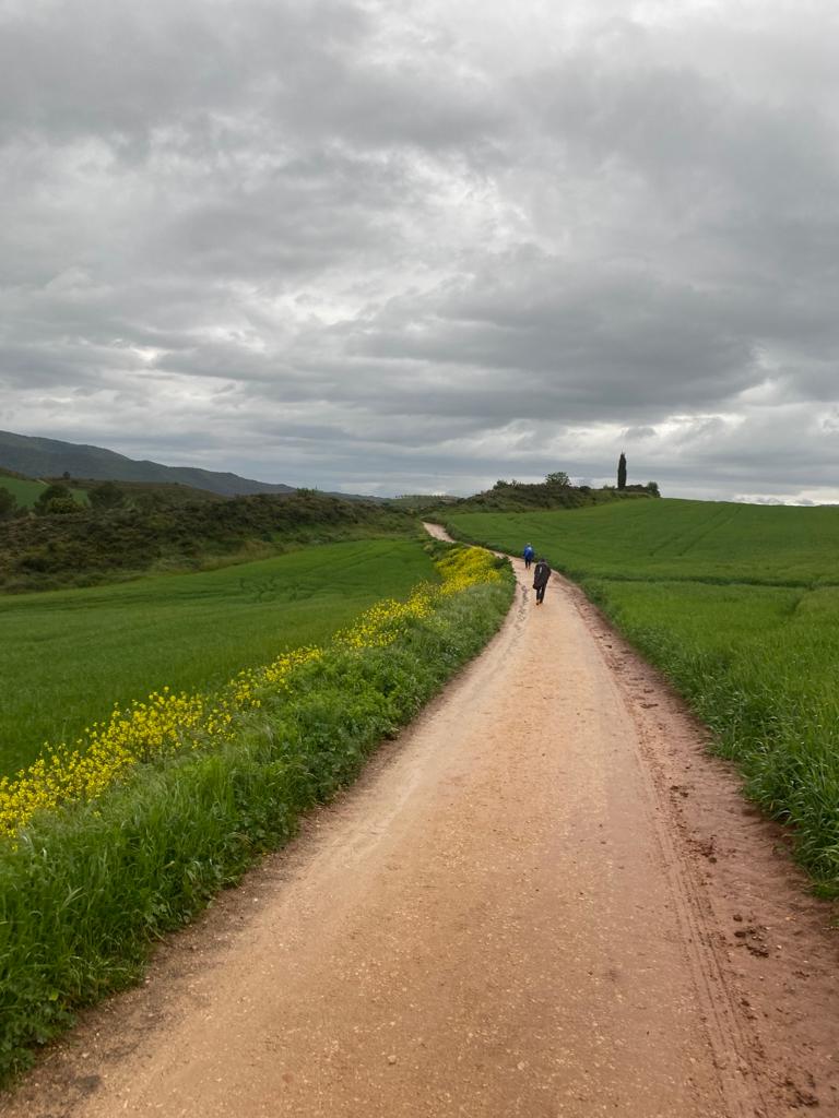 Originele foto van Annemie op dag 9: Puente la Reina naar Estella/Lizarra