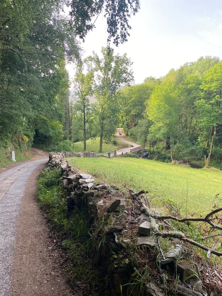 Originele foto van Annemie op dag 32: Fonfría naar Sarria