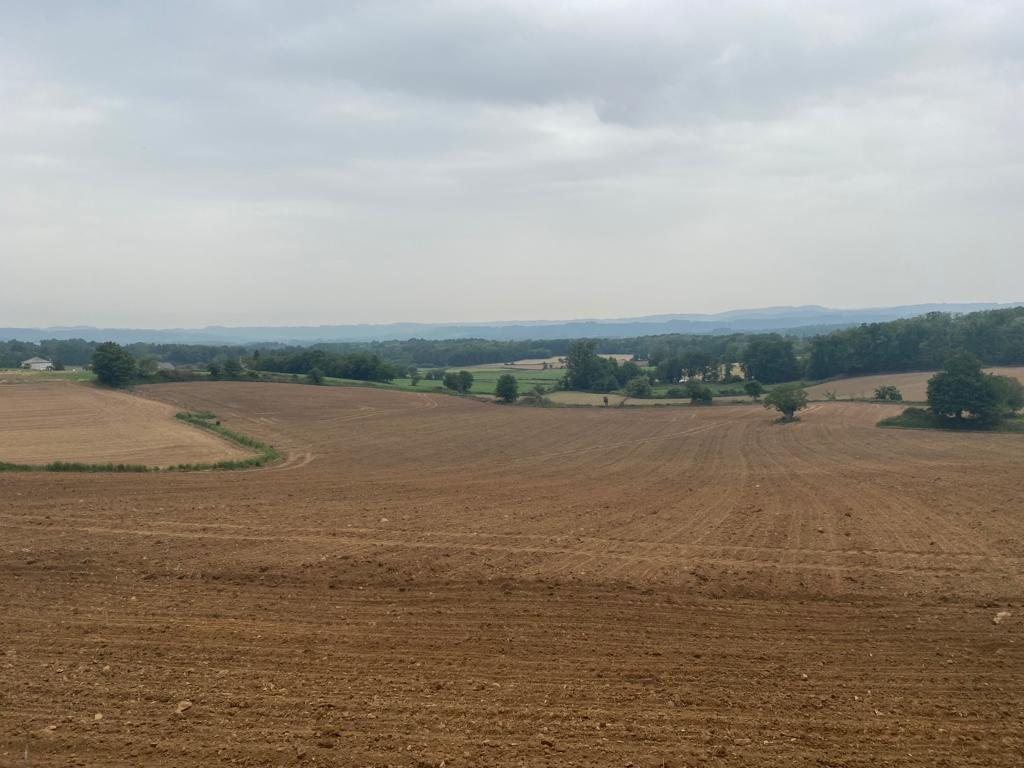 Originele foto van Annemie op dag 32: Fonfría naar Sarria