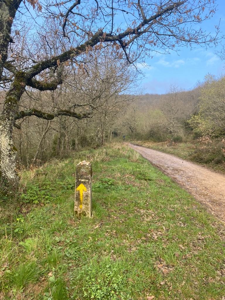 Originele foto van Annemie op dag 15: Belorado naar Agés