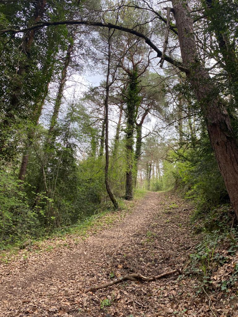 Originele foto van Annemie op dag 3: Jaca naar Arrés
