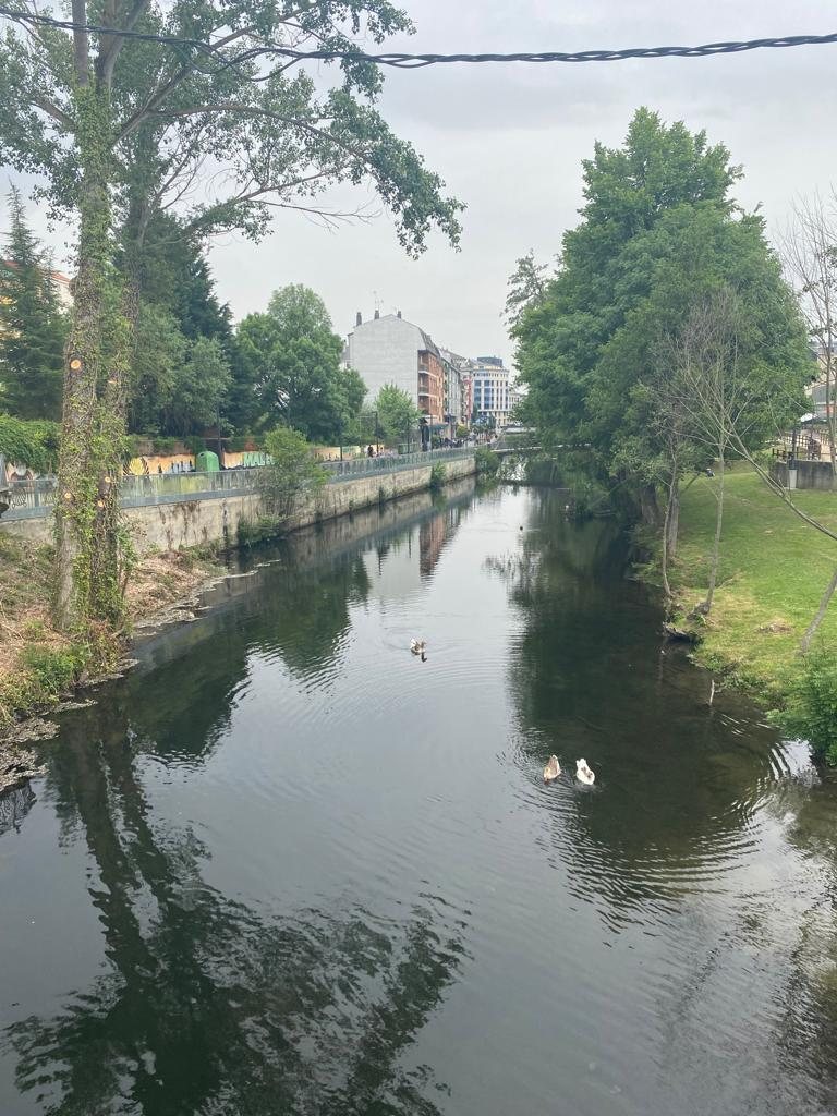 Originele foto van Annemie op dag 32: Fonfría naar Sarria