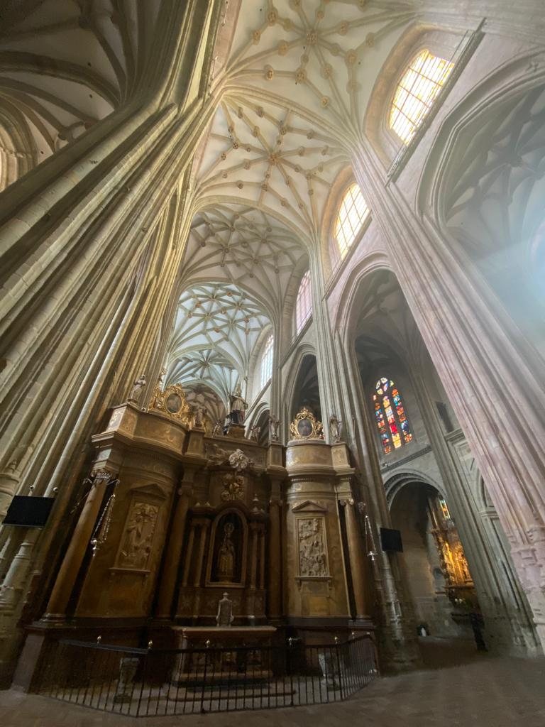 Originele foto van Annemie op dag 26: Villavante naar Astorga