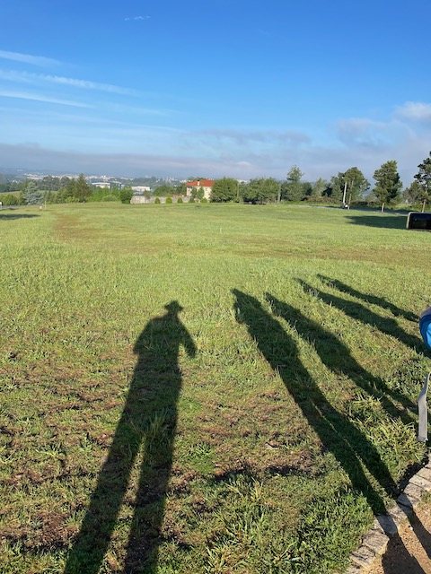 Originele foto van Annemie op dag 36: O Pedrouzo naar Santiago de Compostela