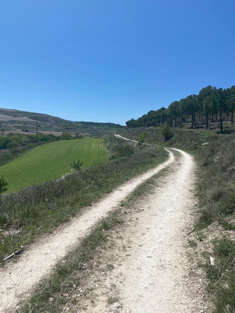 Originele foto van Annemie op dag 18: Burgos naar Castrojeriz
