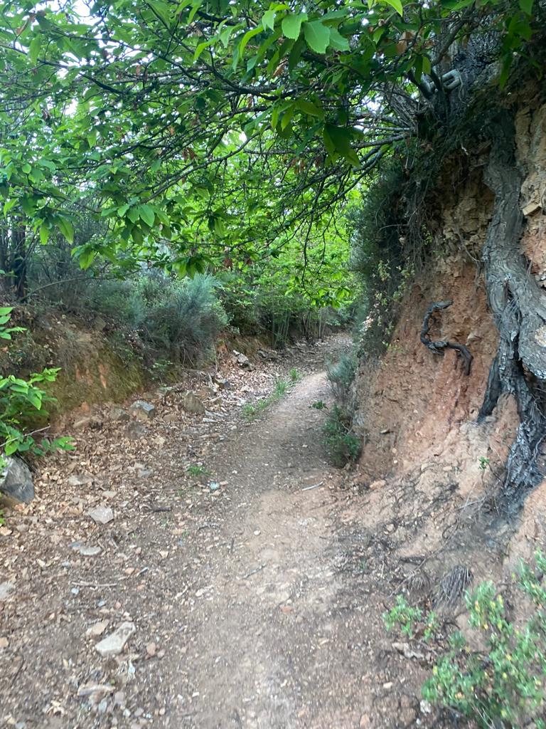 Originele foto van Annemie op dag 30: Villafranca del Bierzo naar Las Herrerías