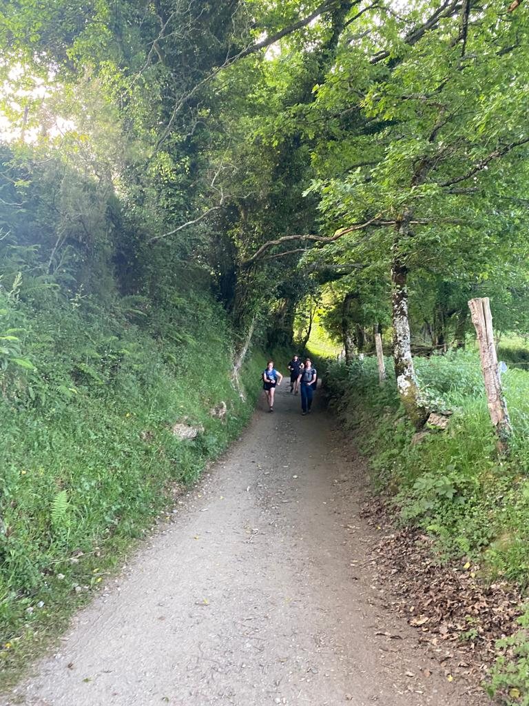 Originele foto van Annemie op dag 32: Fonfría naar Sarria