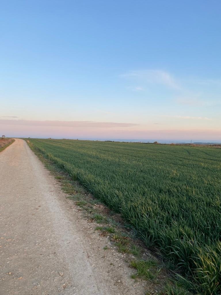 Originele foto van Annemie op dag 19: Castrojeriz naar Población de Campos