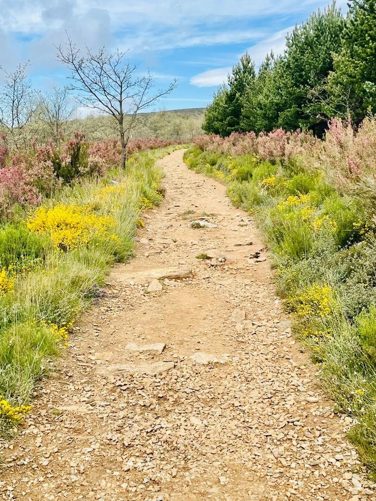 Originele foto van Annemie op dag 27: Astorga naar Foncebadón