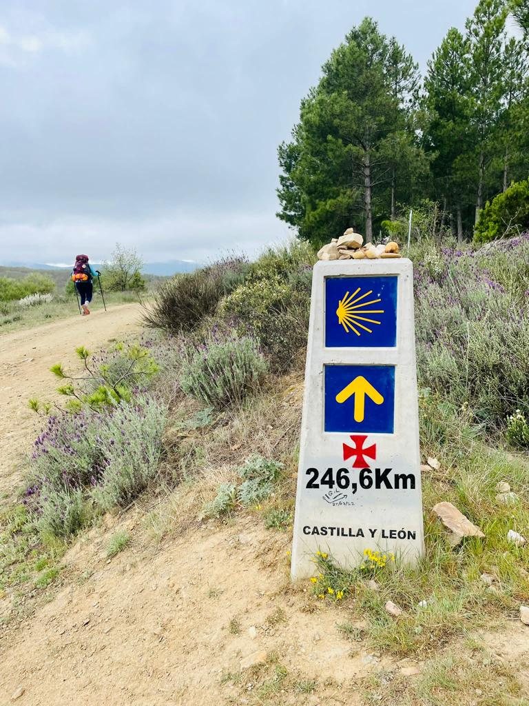 Originele foto van Annemie op dag 27: Astorga naar Foncebadón
