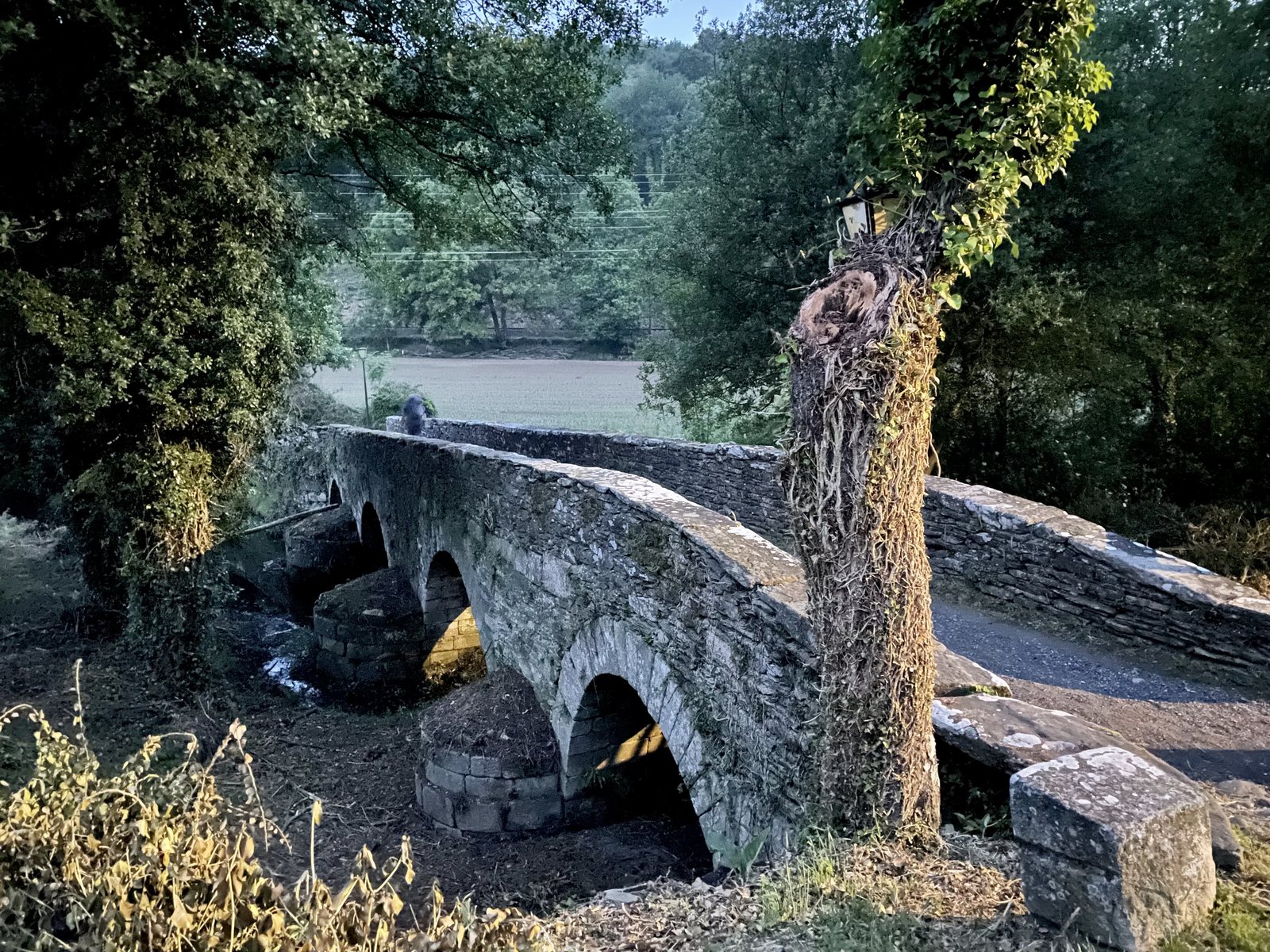 Originele foto van Annemie op dag 33: Sarria naar Ventas de Narón