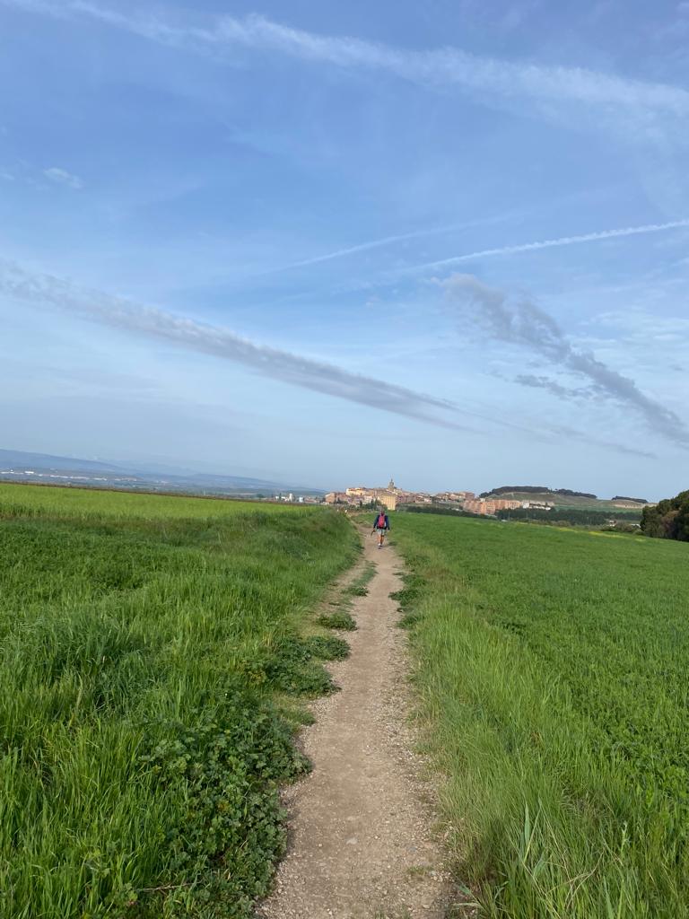 Originele foto van Annemie op dag 11: Sansol naar Logroño