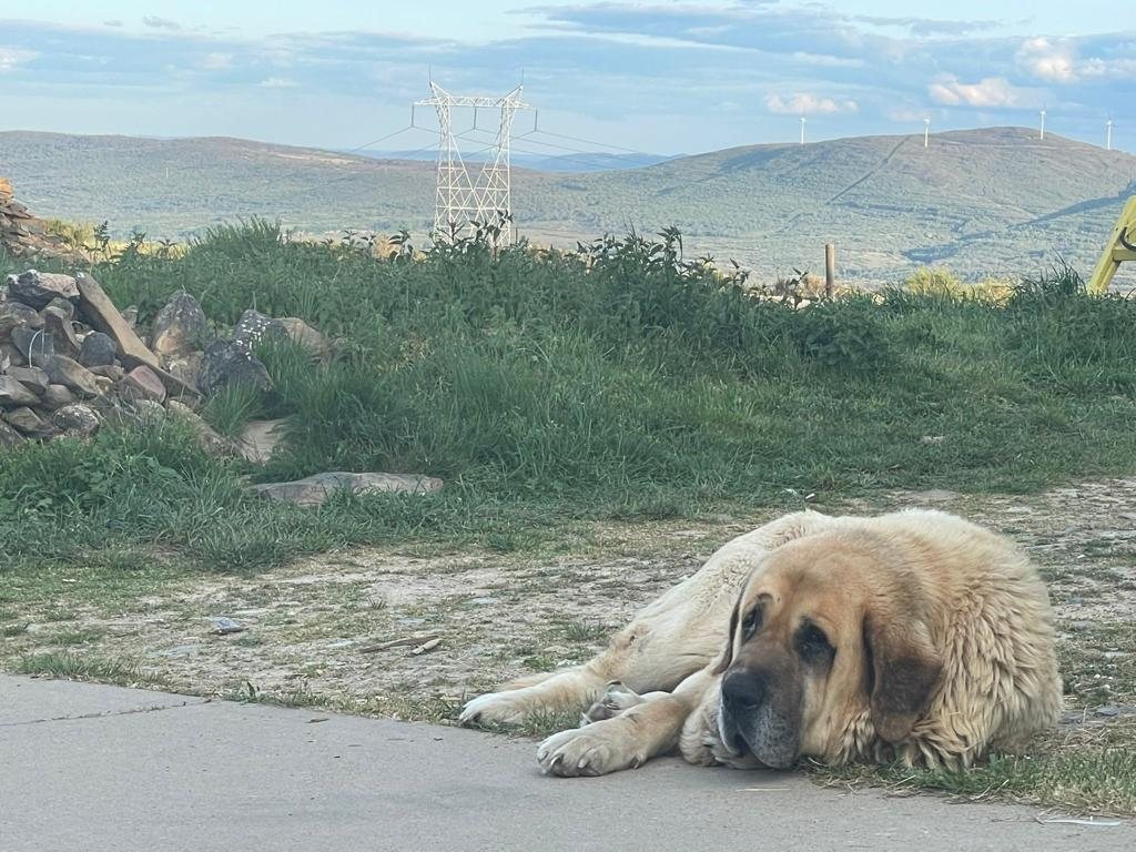 Originele foto van Annemie op dag 27: Astorga naar Foncebadón