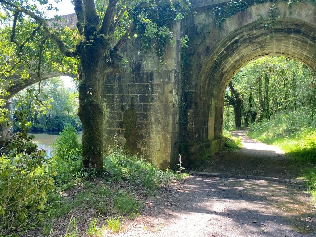 Originele foto van Annemie op dag 38: Santiago de Compostela naar Negreira