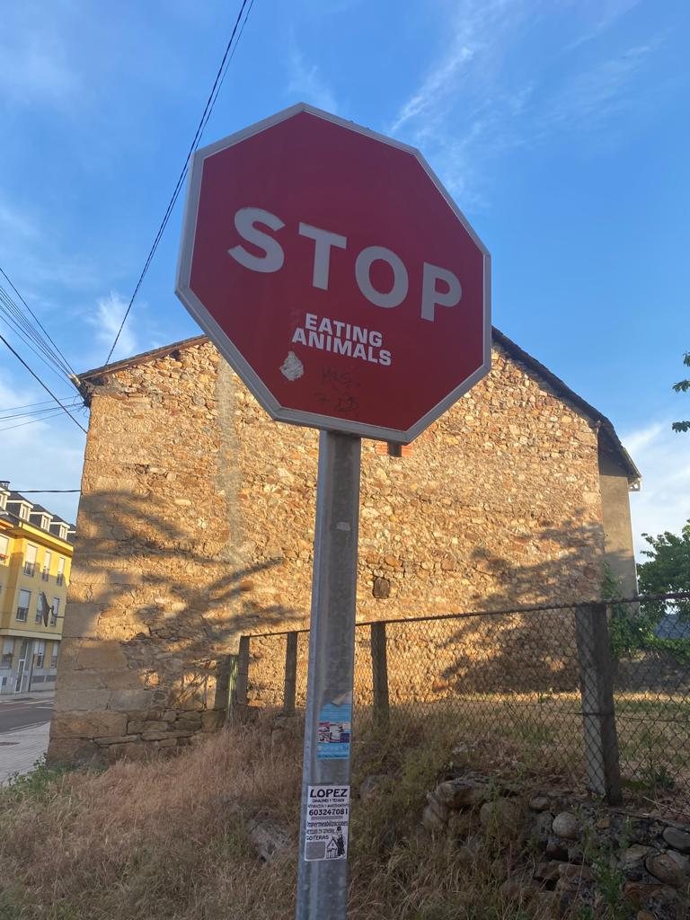 Originele foto van Annemie op dag 29: Ponferrada naar Villafranca del Bierzo