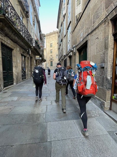 Originele foto van Annemie op dag 36: O Pedrouzo naar Santiago de Compostela
