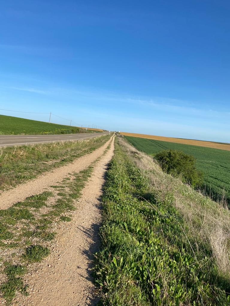Originele foto van Annemie op dag 20: Población de Campos naar Calzadilla de la Cueza