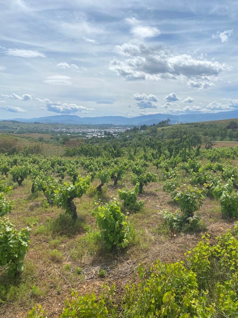 Originele foto van Annemie op dag 29: Ponferrada naar Villafranca del Bierzo