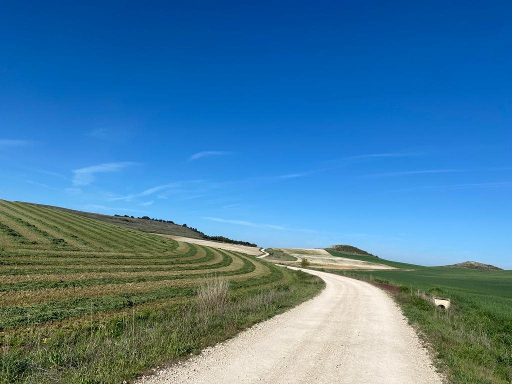 Originele foto van Annemie op dag 19: Castrojeriz naar Población de Campos