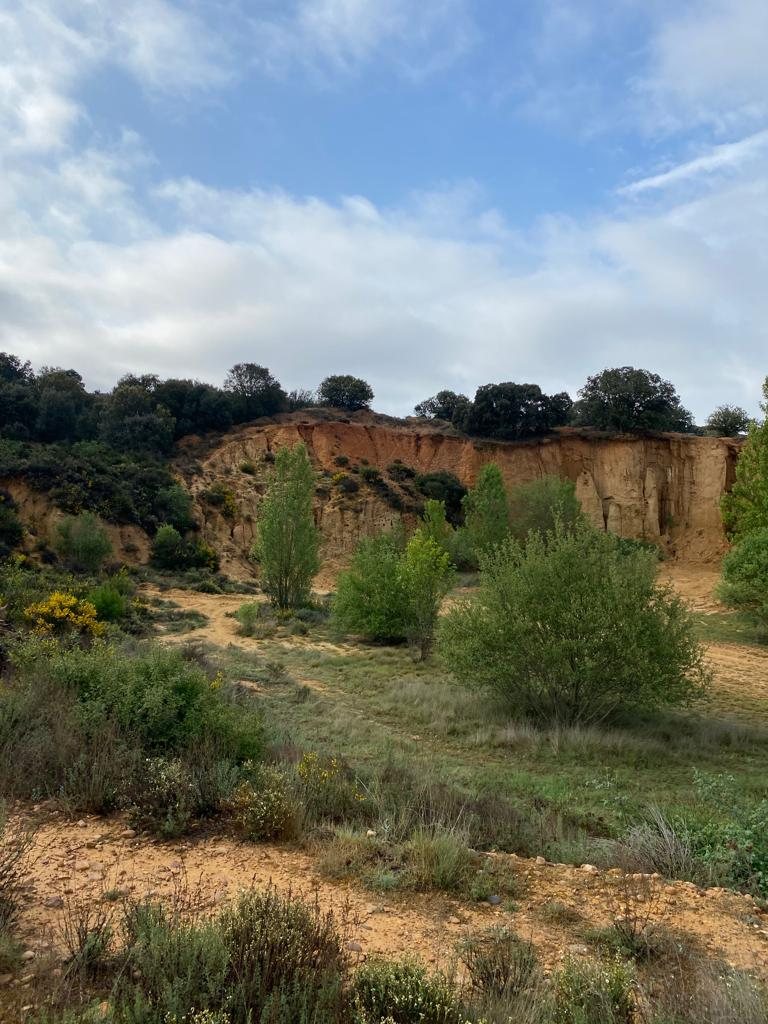 Originele foto van Annemie op dag 26: Villavante naar Astorga