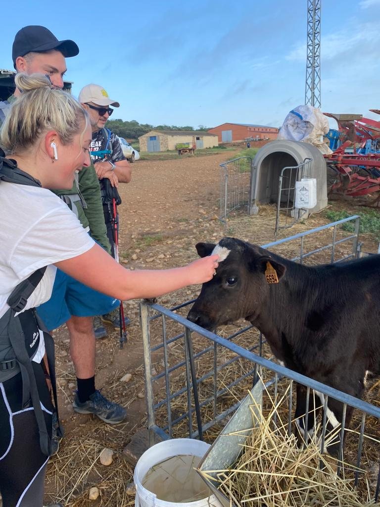 Originele foto van Annemie op dag 26: Villavante naar Astorga