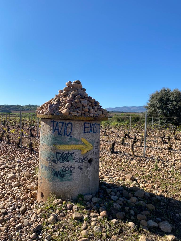 Originele foto van Annemie op dag 12: Logroño naar Nájera