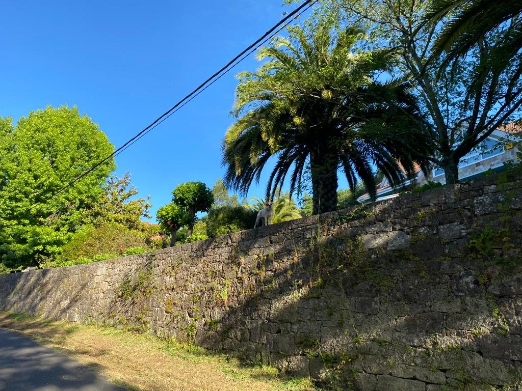 Originele foto van Annemie op dag 38: Santiago de Compostela naar Negreira