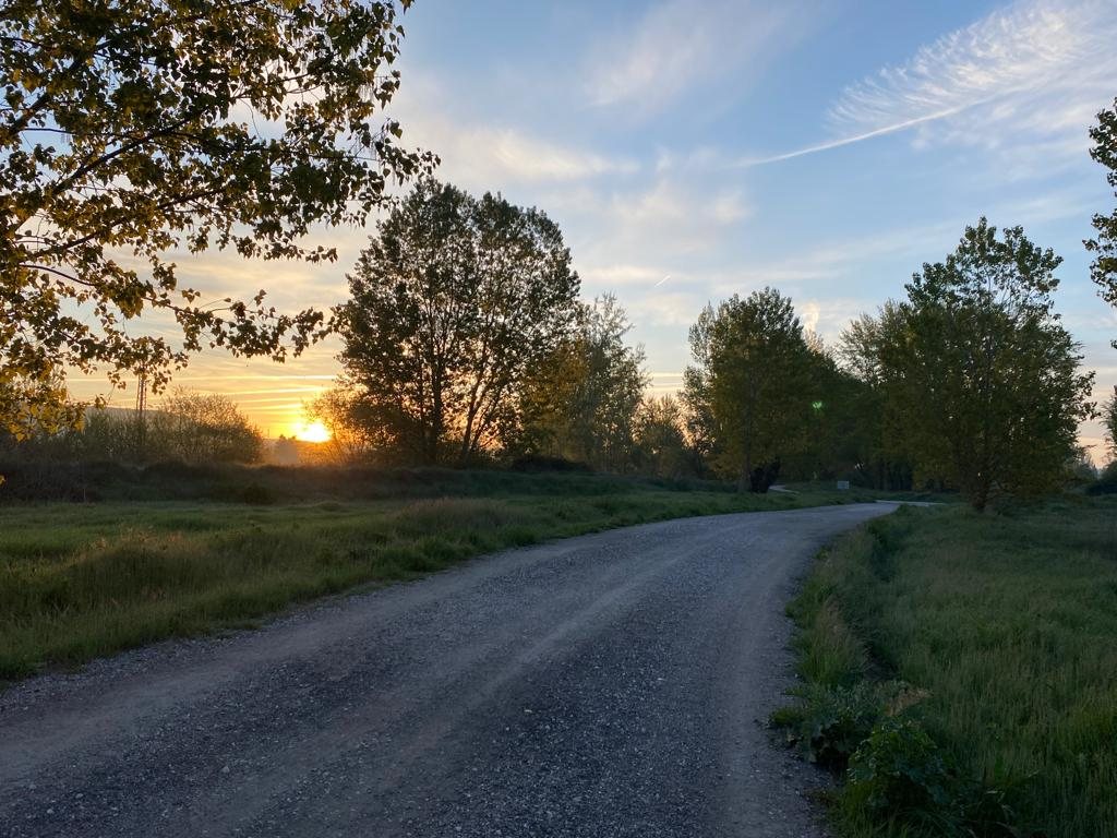 Originele foto van Annemie op dag 18: Burgos naar Castrojeriz