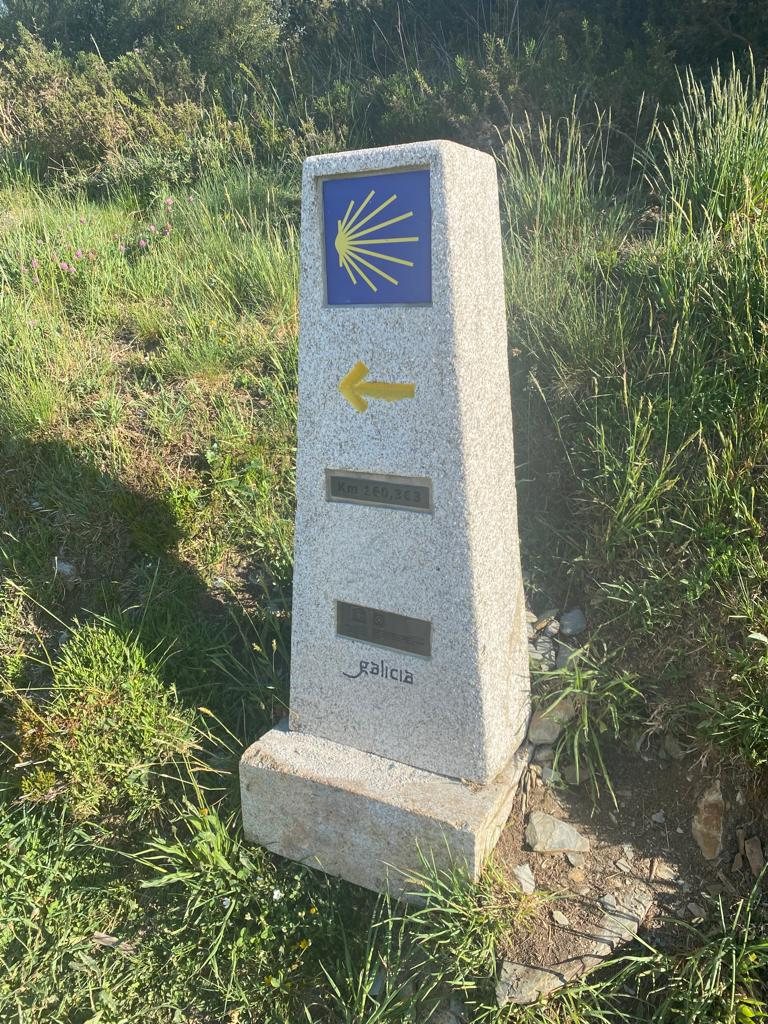Originele foto van Annemie op dag 31: Las Herrerías naar Fonfría
