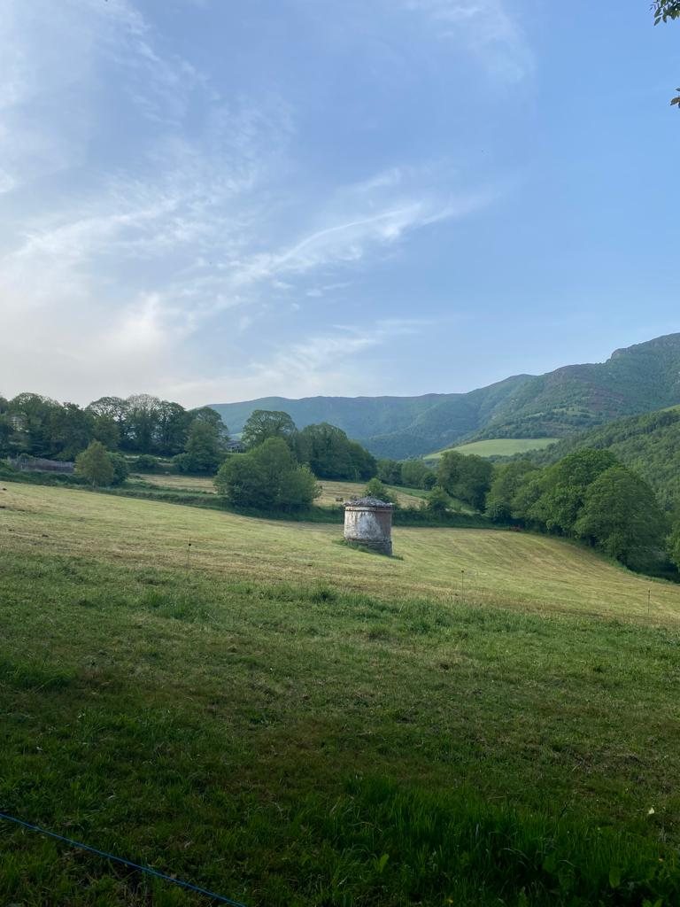 Originele foto van Annemie op dag 32: Fonfría naar Sarria