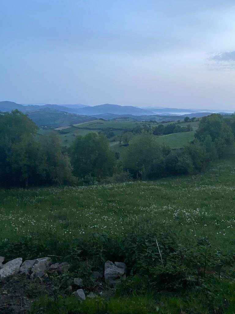 Originele foto van Annemie op dag 32: Fonfría naar Sarria